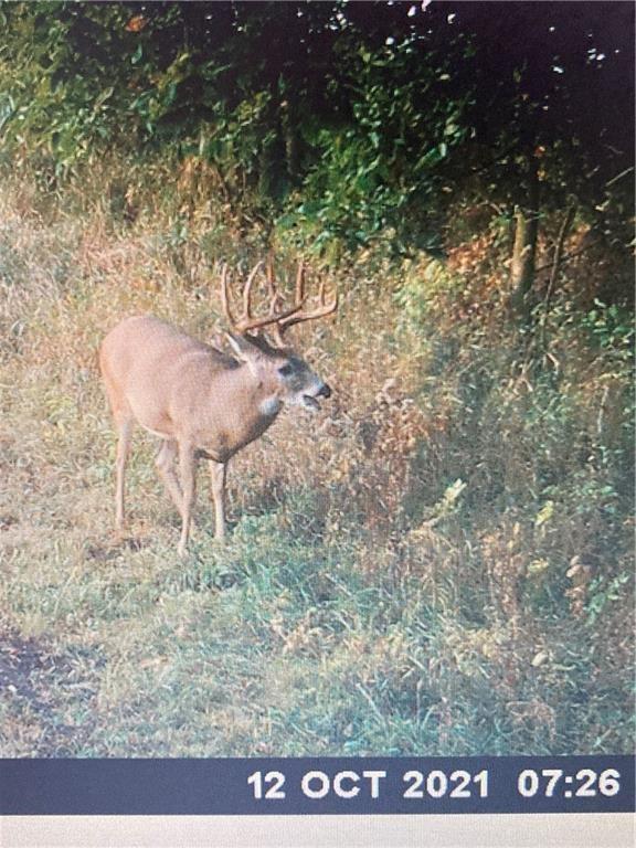 Missouri-Taylor St, Bedford, IA 50833 - photo 35