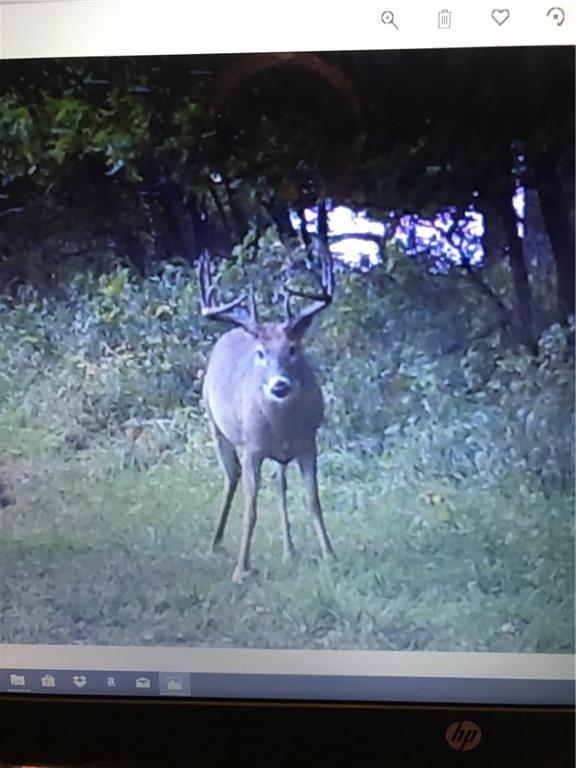 Missouri-Taylor St, Bedford, IA 50833 - photo 36