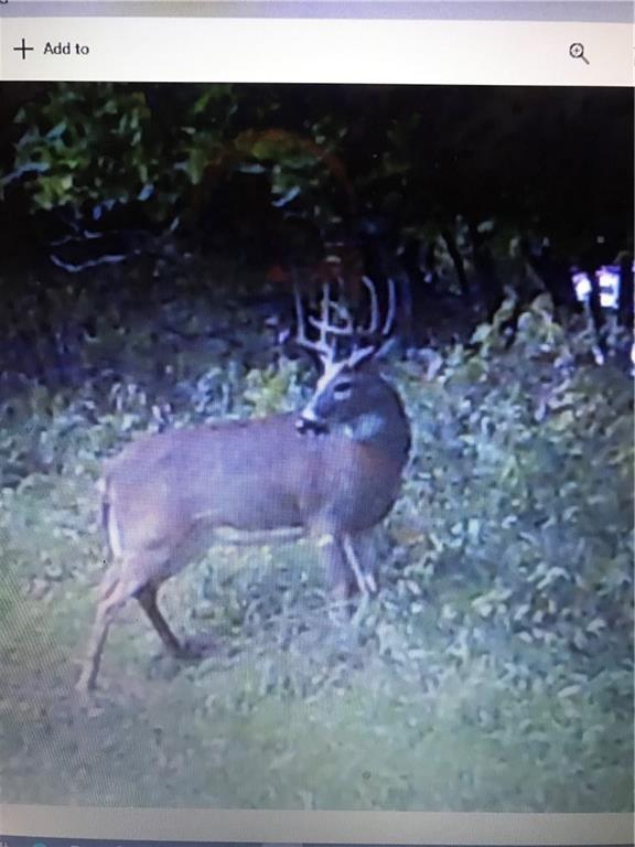 Missouri-Taylor St, Bedford, IA 50833 - photo 37