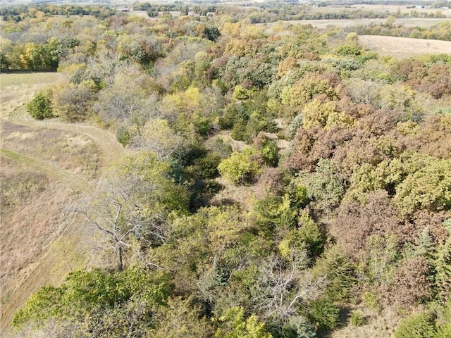 Missouri-Taylor St, Bedford, IA 50833 - photo 2
