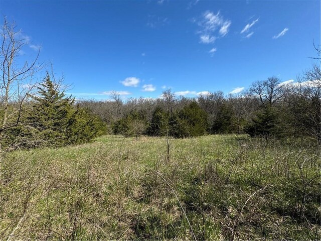 Missouri-Taylor St, Bedford, IA 50833 - photo 13