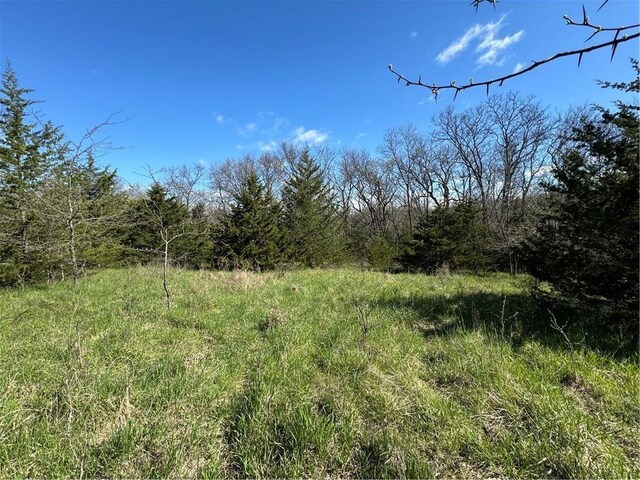 Missouri-Taylor St, Bedford, IA 50833 - photo 15