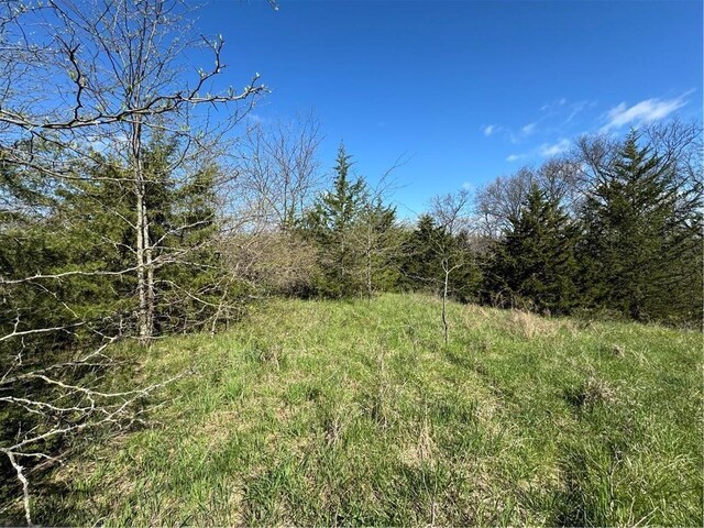 Missouri-Taylor St, Bedford, IA 50833 - photo 16