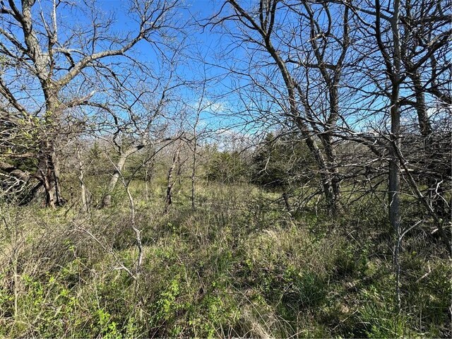 Missouri-Taylor St, Bedford, IA 50833 - photo 17