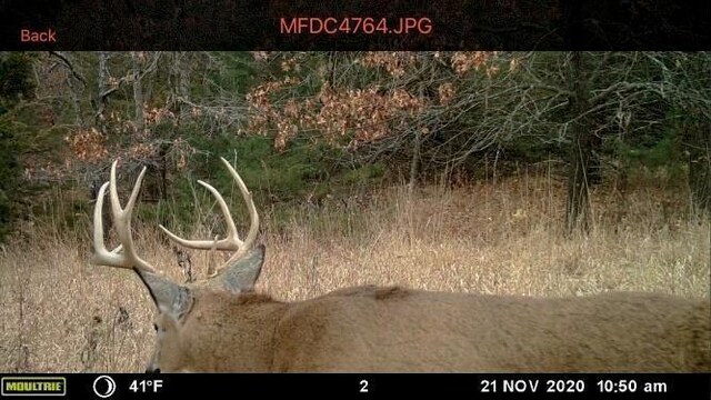 Missouri-Taylor St, Bedford, IA 50833 - photo 26