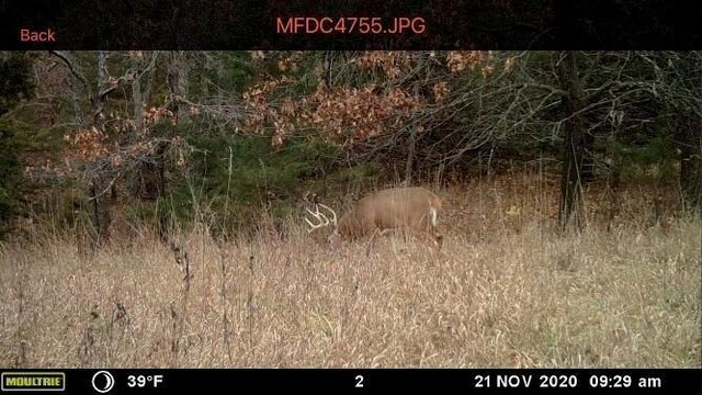Missouri-Taylor St, Bedford, IA 50833 - photo 27
