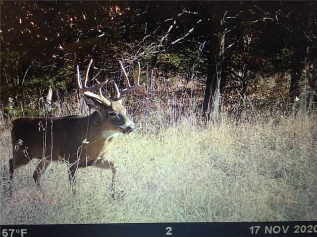 Missouri-Taylor St, Bedford, IA 50833 - photo 28