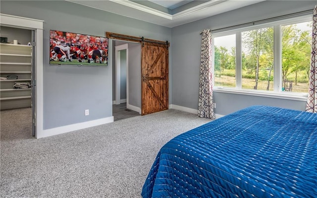 carpeted bedroom featuring a spacious closet and a barn door