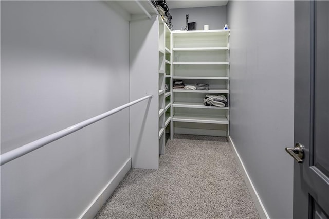 walk in closet featuring light carpet