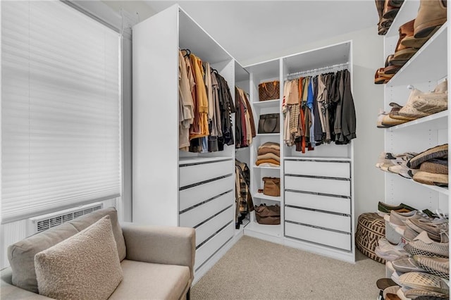 walk in closet with light carpet