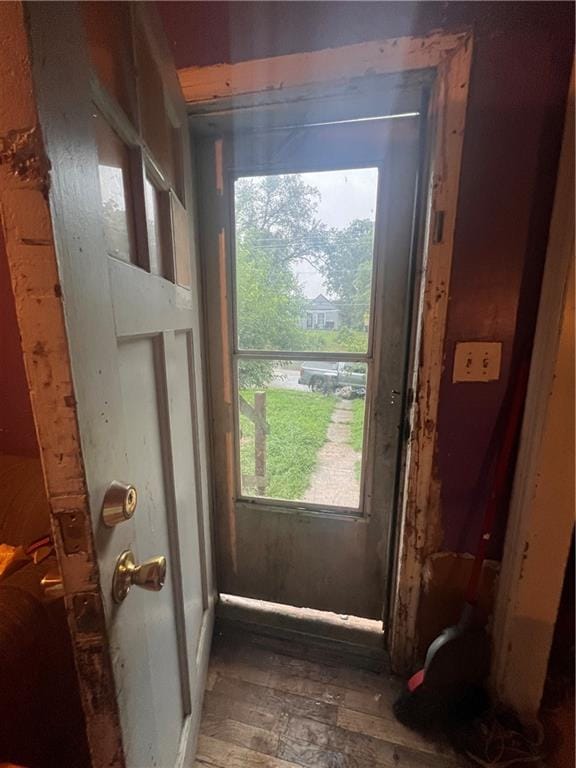 doorway featuring wood-type flooring and a wealth of natural light