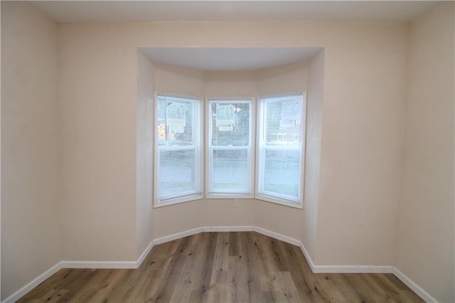 spare room with plenty of natural light and light hardwood / wood-style flooring