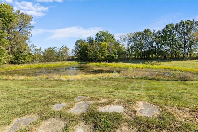 view of local wilderness