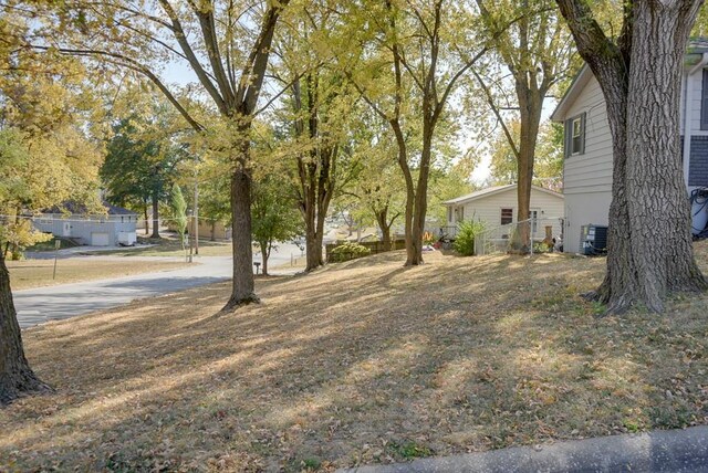 1101 Williams St, Excelsior Springs, MO 64024 - view of yard
