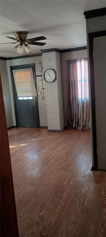 foyer entrance featuring ornamental molding, hardwood / wood-style floors, and ceiling fan