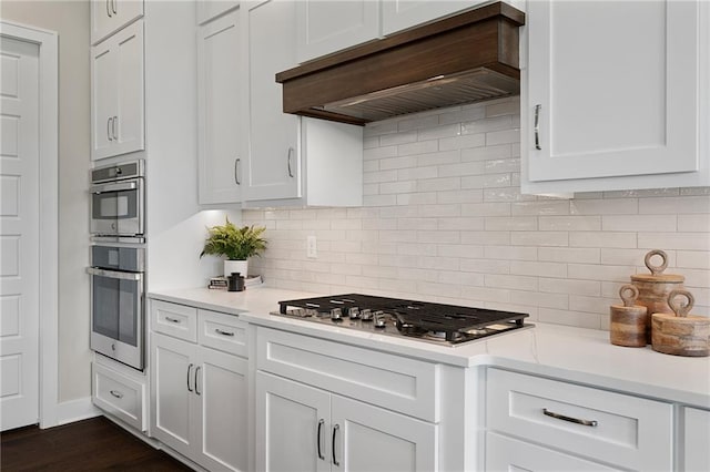 kitchen featuring white cabinets, custom exhaust hood, and appliances with stainless steel finishes