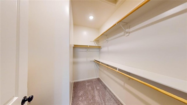 walk in closet featuring dark colored carpet