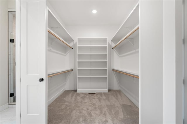 spacious closet featuring light colored carpet