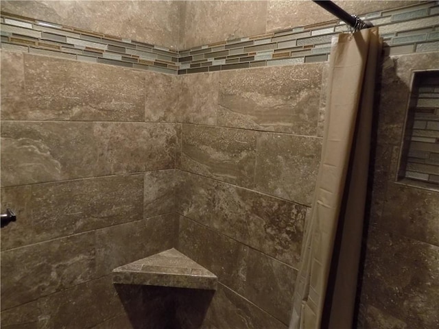 interior details featuring walk in shower