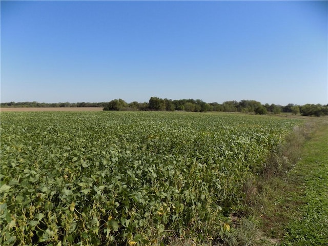 view of landscape with a rural view