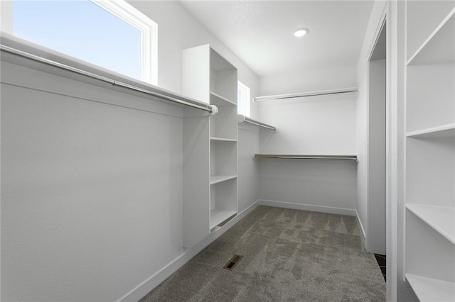 13428 W 178th St, Overland Park, KS 66013 - spacious closet featuring carpet flooring