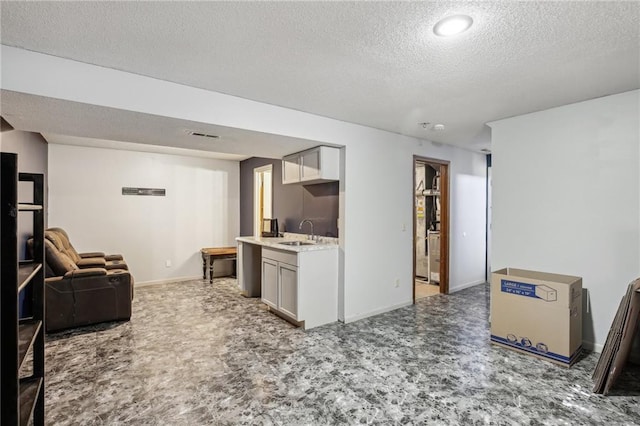 carpeted living room with a textured ceiling and sink