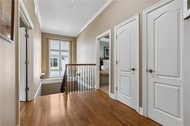 hallway with crown molding and hardwood / wood-style floors