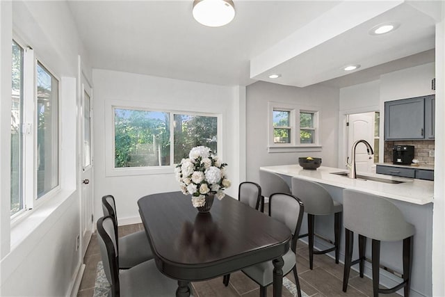 dining area with sink, dark hardwood / wood-style floors, and plenty of natural light