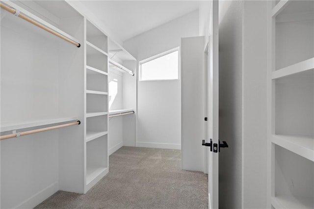 walk in closet with light carpet