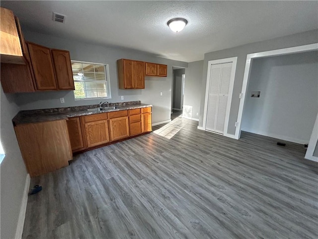 kitchen with wood-type flooring, a textured ceiling, and sink