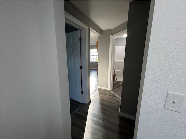 corridor with dark hardwood / wood-style floors