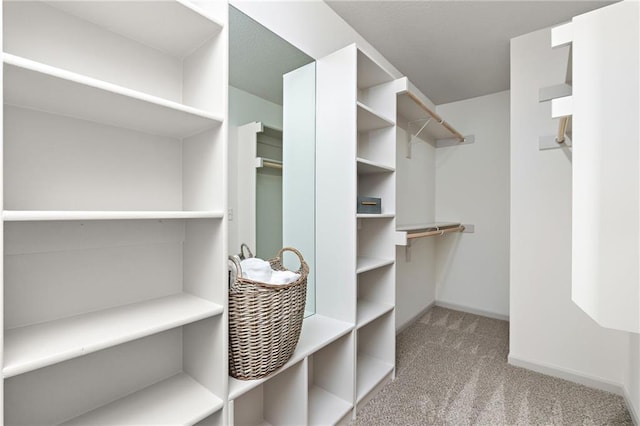 walk in closet featuring carpet floors