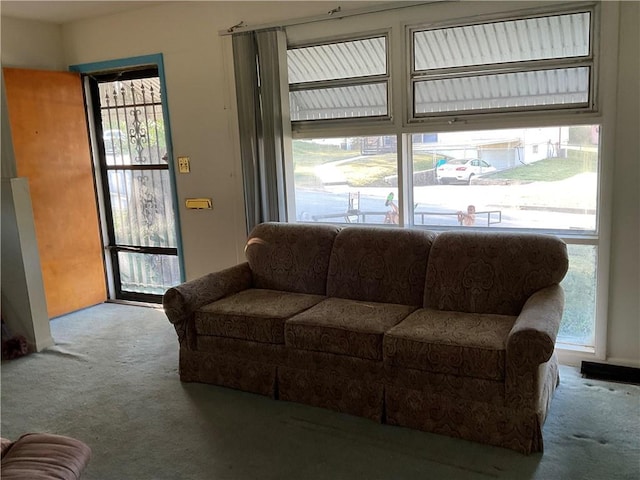 living room with carpet