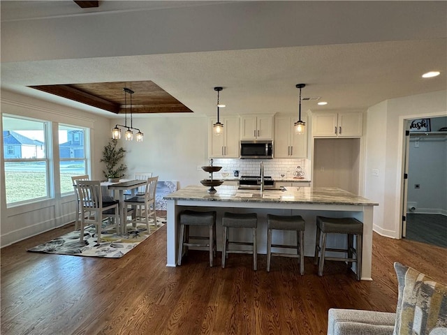 kitchen with white cabinetry, an island with sink, a tray ceiling, stainless steel appliances, and light stone countertops