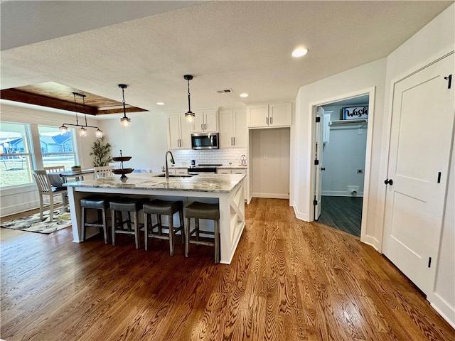 kitchen with a raised ceiling, white cabinetry, a kitchen island with sink, light stone counters, and stainless steel appliances