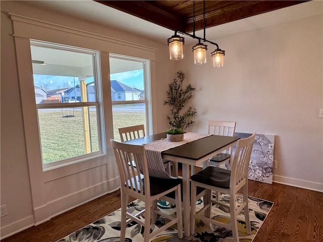 dining space with dark hardwood / wood-style flooring and a healthy amount of sunlight