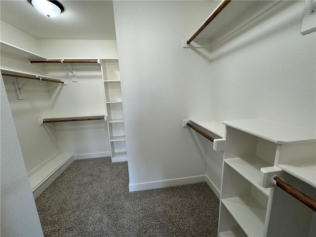 walk in closet featuring dark colored carpet