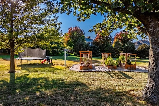 exterior space with a patio, a trampoline, and a lawn