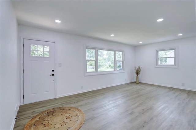 foyer featuring wood-type flooring and a wealth of natural light