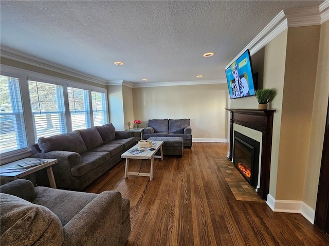 living room with a textured ceiling, crown molding, and dark wood-type flooring