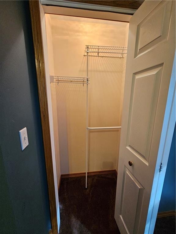 spacious closet featuring carpet floors