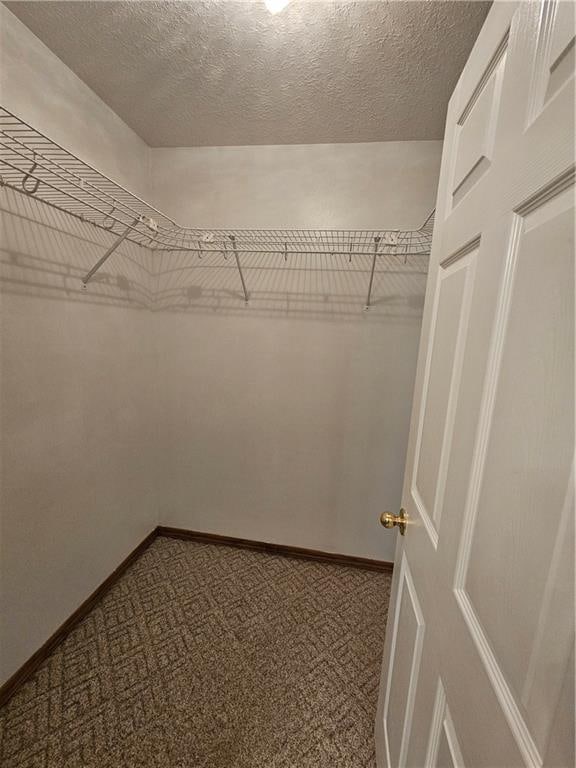 walk in closet with carpet floors