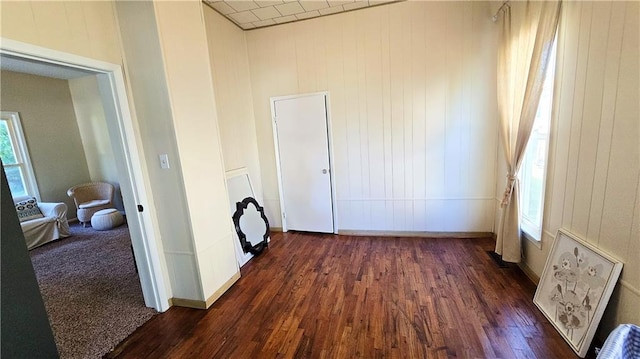 interior space featuring dark wood-type flooring, wood walls, and multiple windows