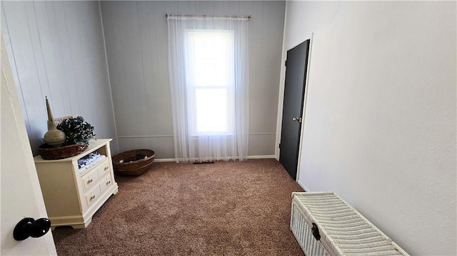 interior space featuring wood walls and dark carpet