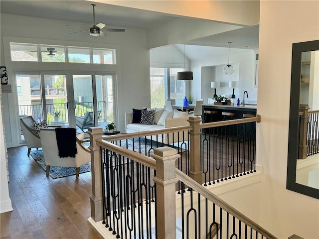 interior space with hardwood / wood-style flooring, sink, plenty of natural light, and ceiling fan