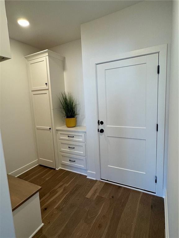 entryway with dark wood finished floors