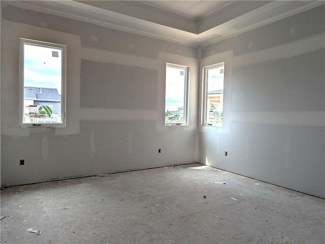 16928 Futura St, Overland Park, KS 66085 - unfurnished room with a tray ceiling and crown molding