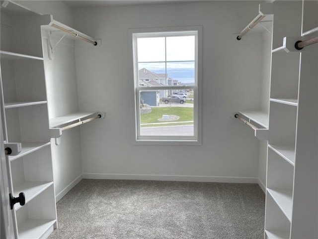 spacious closet with carpet flooring