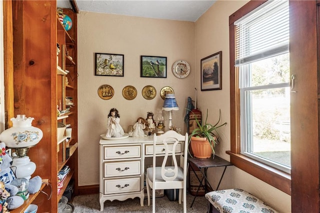 home office with carpet flooring