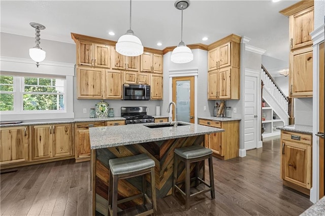 kitchen featuring dark wood-type flooring, a kitchen island with sink, sink, and stainless steel appliances